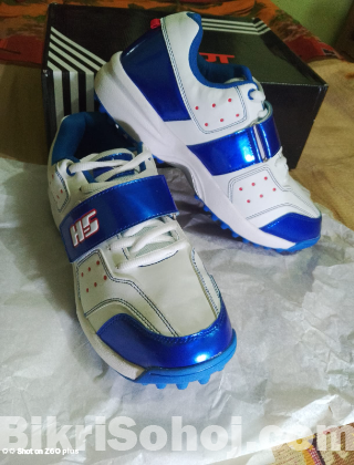 HS 41 pro & HS core 4